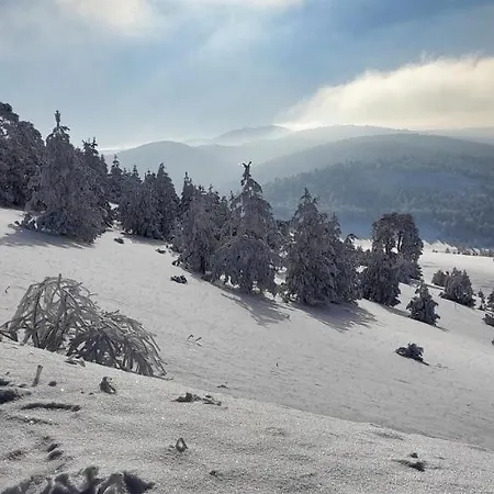 别墅 Cigota 兹拉蒂博尔