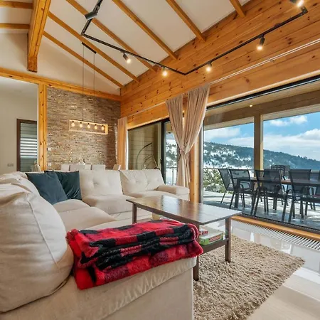 Cigota Villa Zlatibor