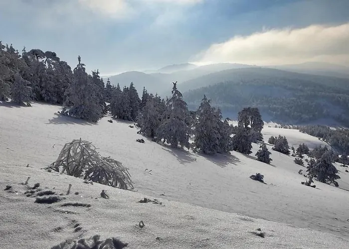 Villa Cigota Zlatibor